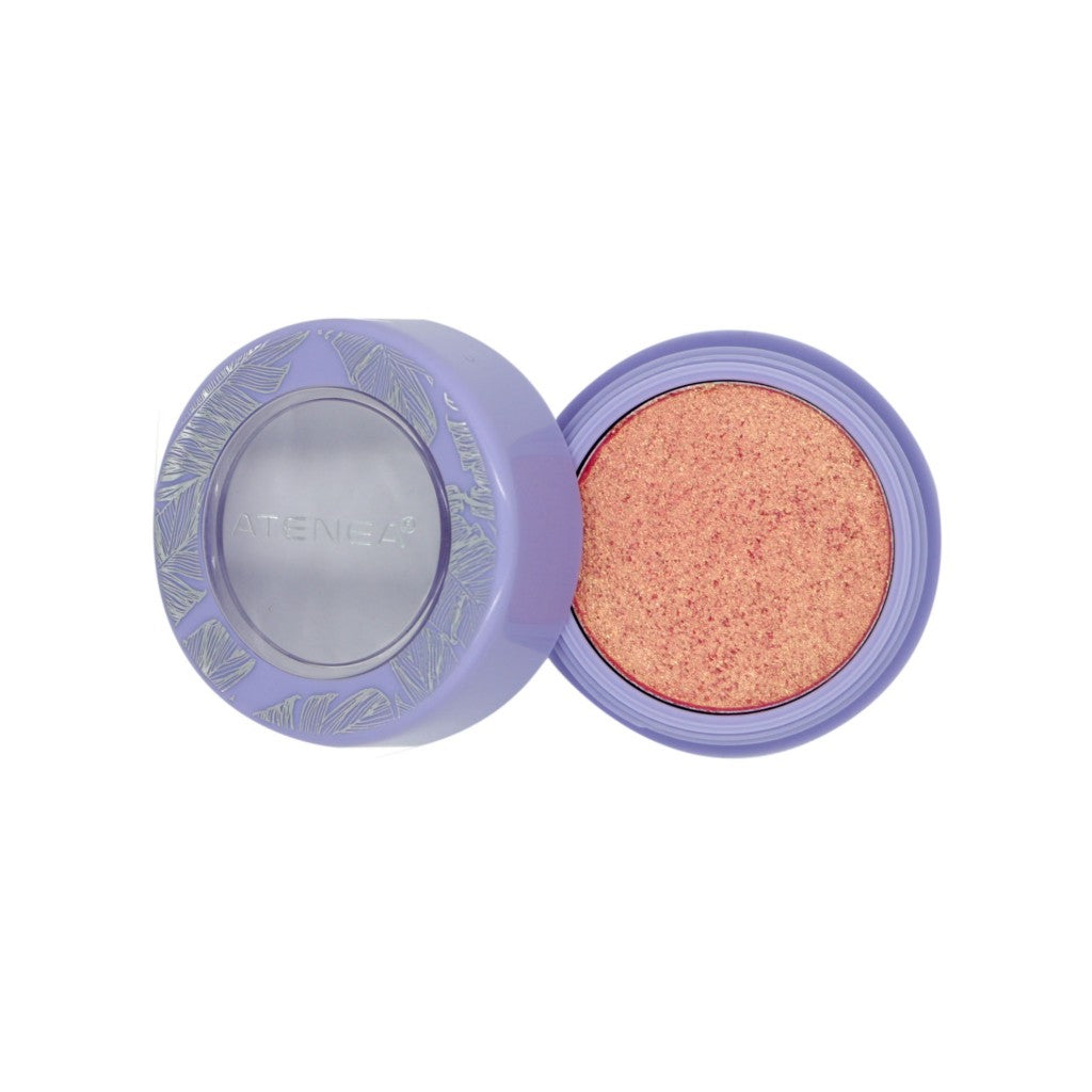 Sombre individual paradise tropical beach